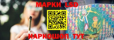 дмт Аргун