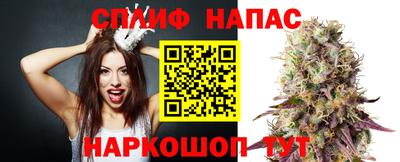 дмт Аргун
