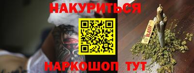 дмт Аргун