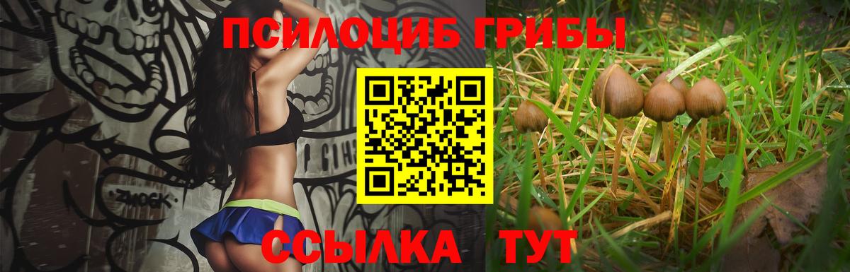 Галлюциногенные грибы MAGIC MUSHROOMS Братск
